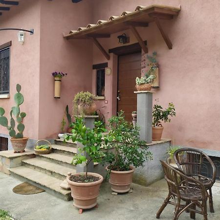Casa Nupa Διαμέρισμα Torri in Sabina Εξωτερικό φωτογραφία