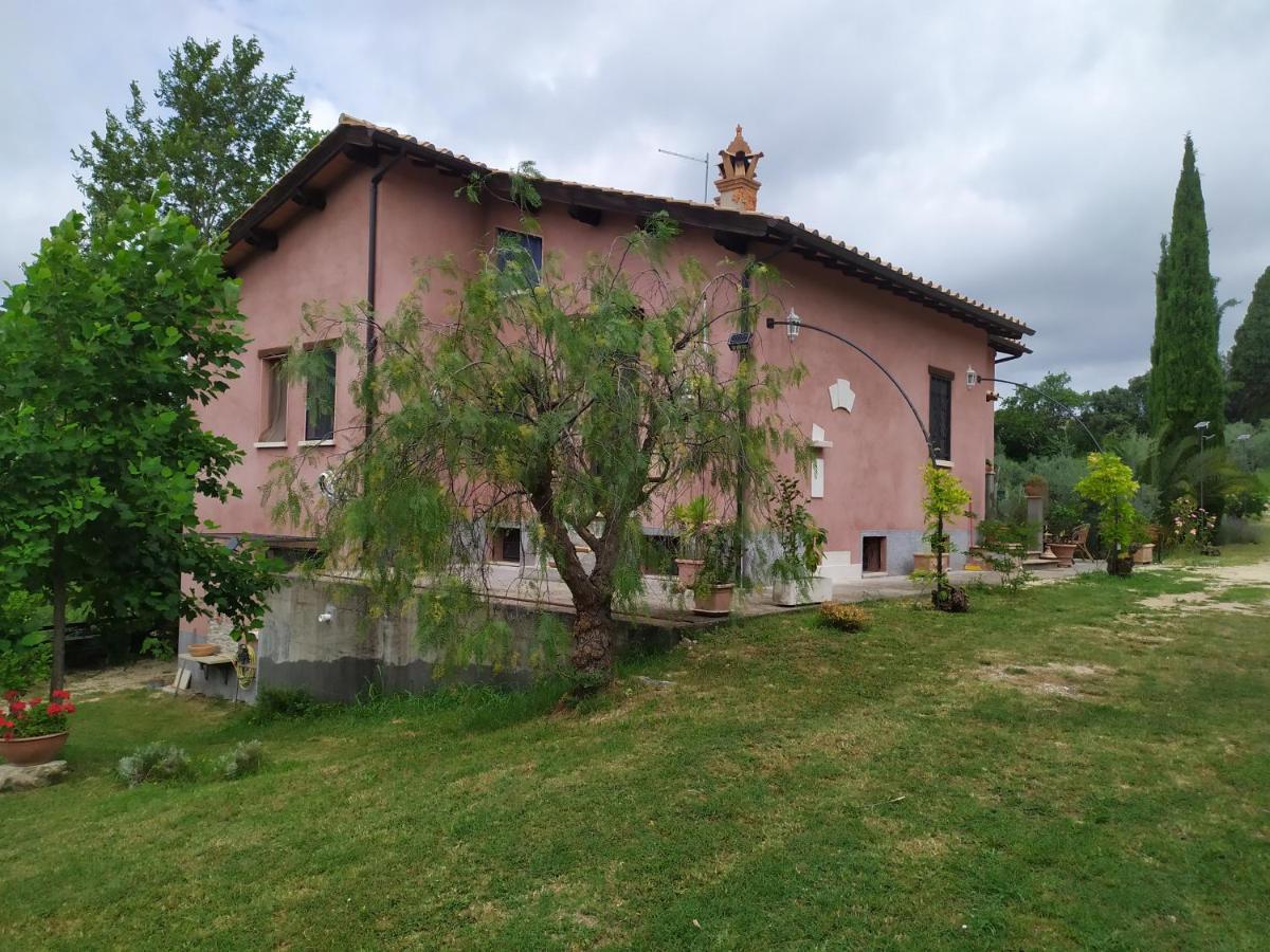 Casa Nupa Διαμέρισμα Torri in Sabina Εξωτερικό φωτογραφία