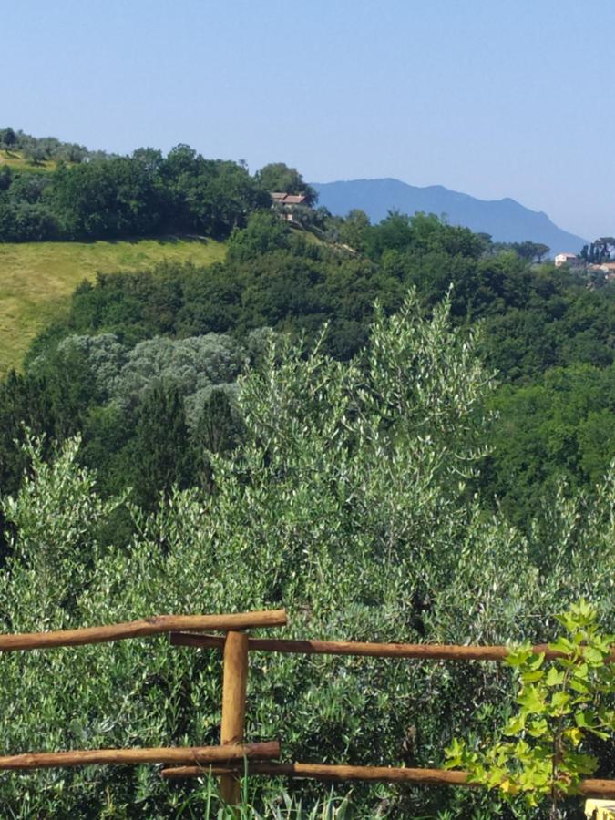 Casa Nupa Διαμέρισμα Torri in Sabina Εξωτερικό φωτογραφία